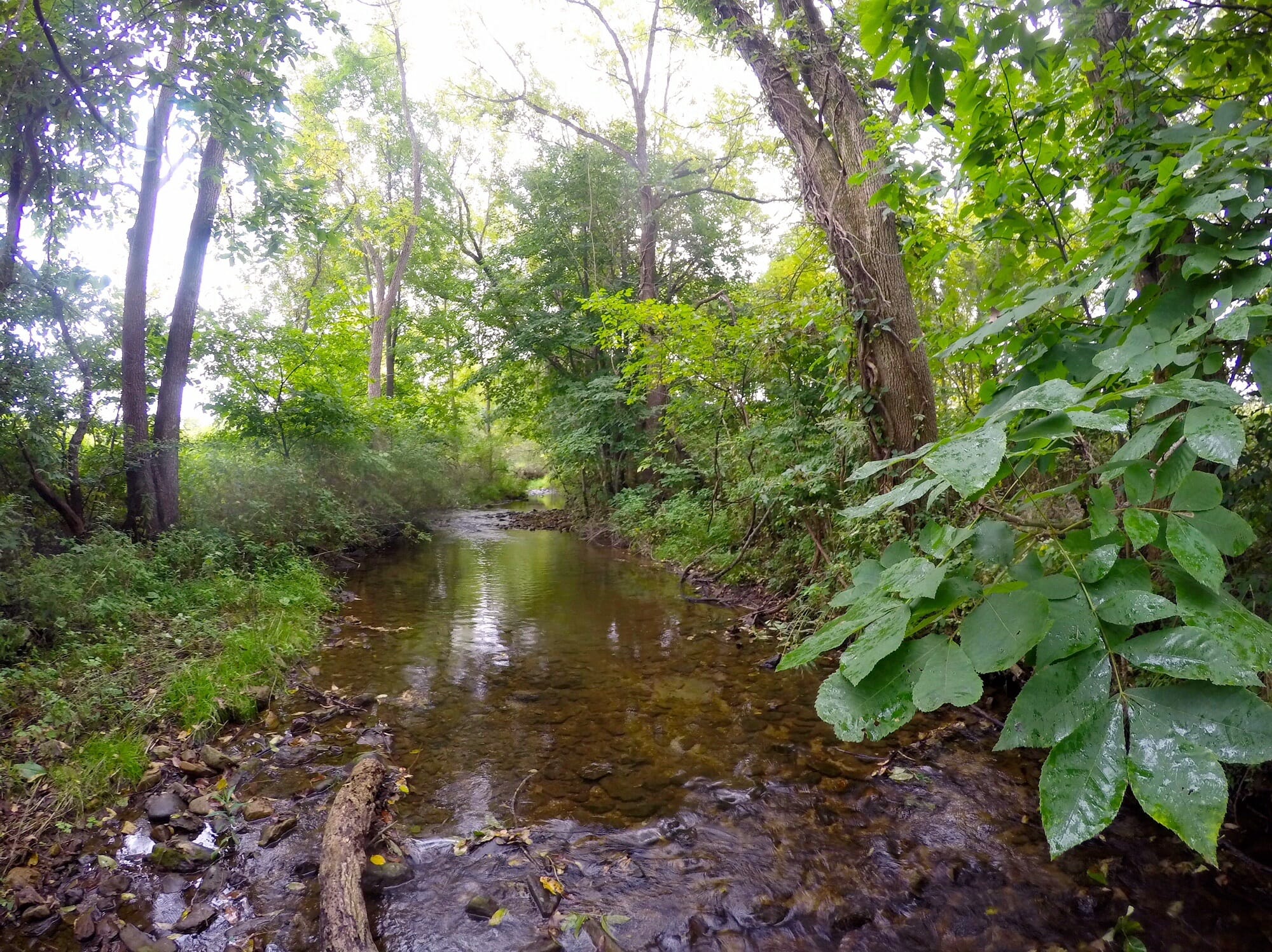 West Portal Brook in New Jersey