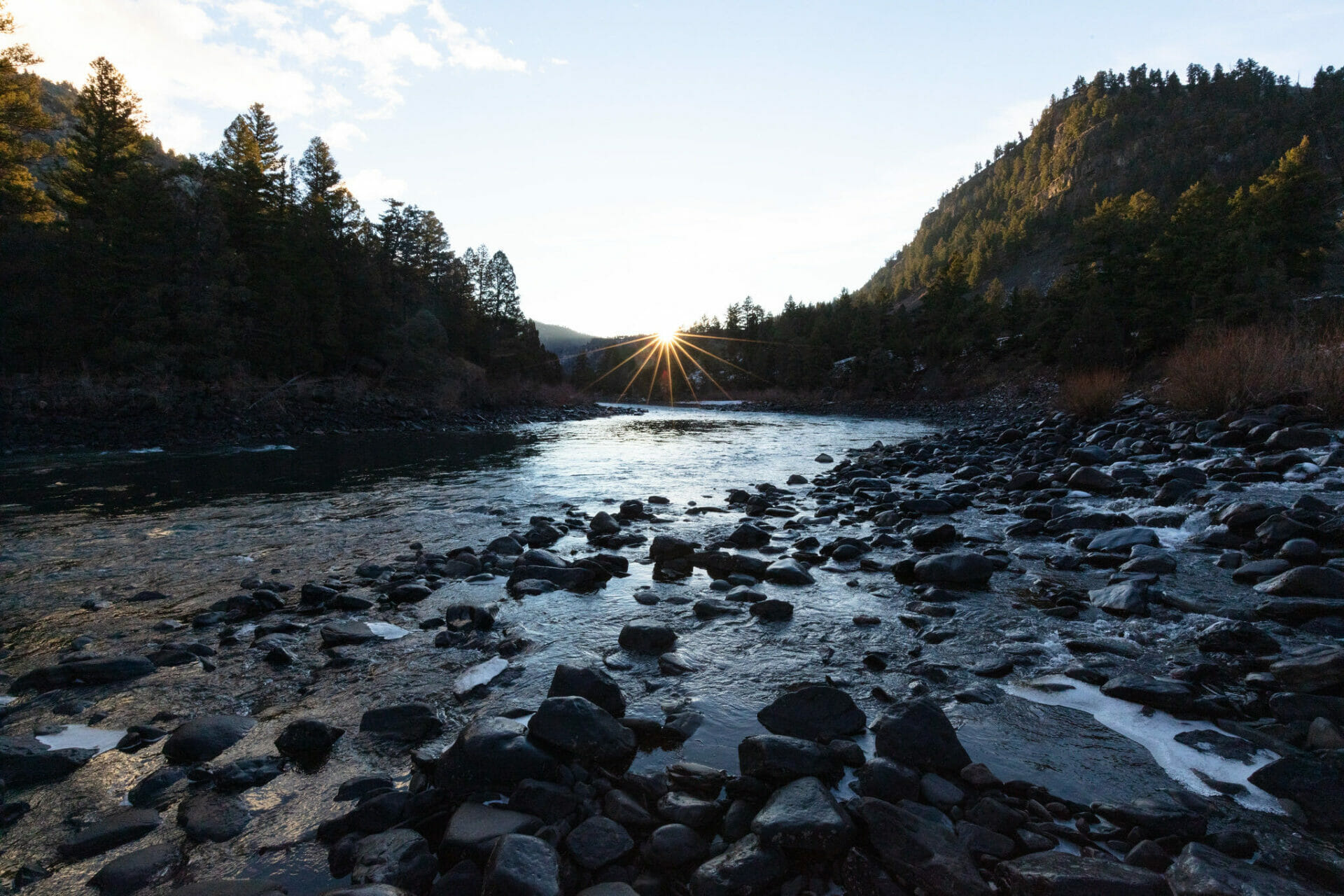 Future of the Yellowstone