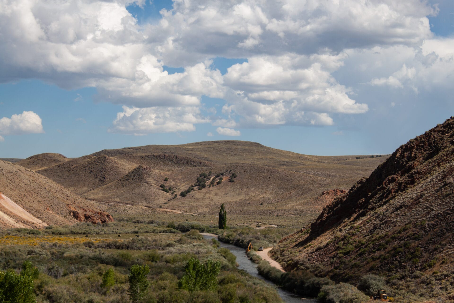 Improving Habitat in a Great Basin Oasis 