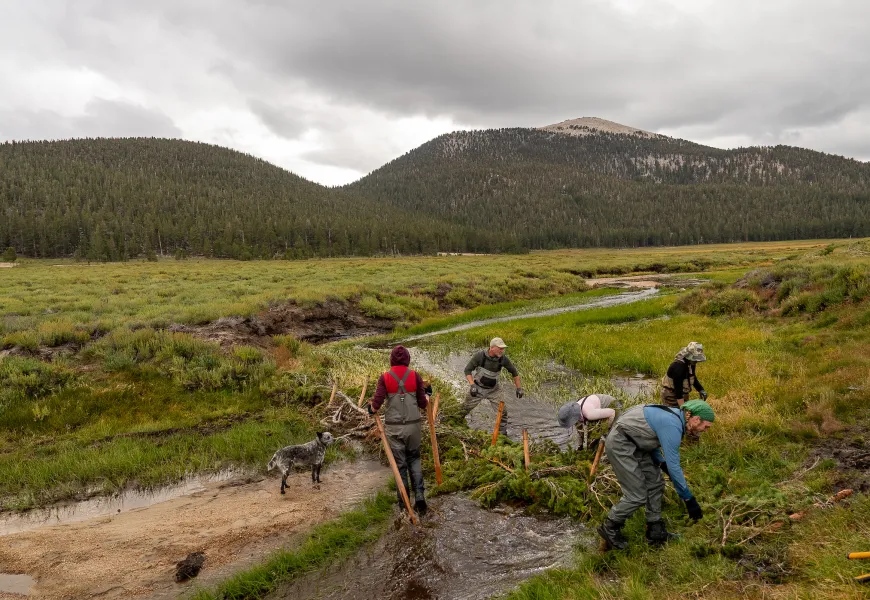 American Flyfishing Magazine: Investing in Gold: The Golden Trout Project Launches a Large-scale Restoration Effort to Restore California’s State Fish