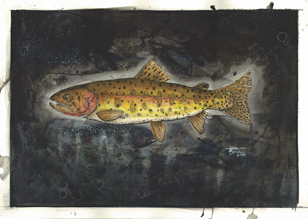 A Lahontan cutthroat trout story from someone who knows them best